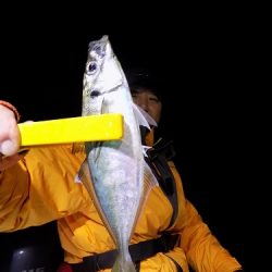 フィッシングボート空風（そらかぜ） 釣果