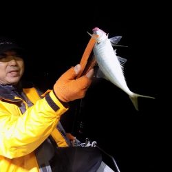 フィッシングボート空風（そらかぜ） 釣果