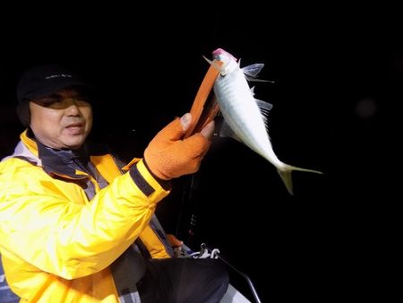 フィッシングボート空風（そらかぜ） 釣果