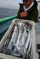 ＫＯＮＡＹＡｰＭＡＲＵ（こなや丸） 釣果