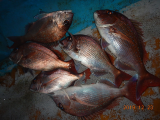 作十丸 釣果