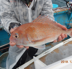 作十丸 釣果