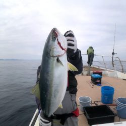 オーシャンズ　京都 釣果