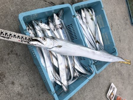 釣り船角田 釣果