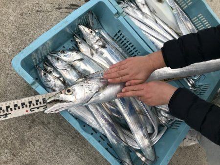 釣り船角田 釣果