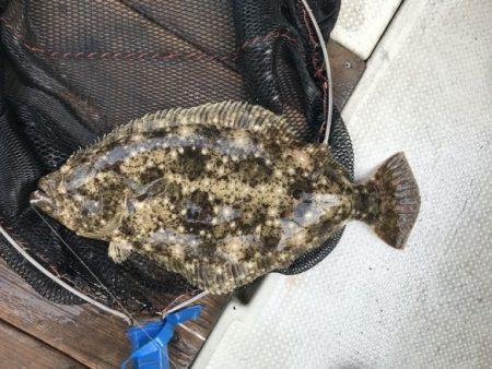 釣り船角田 釣果