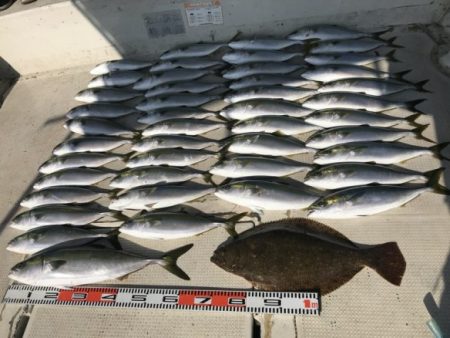 釣り船角田 釣果