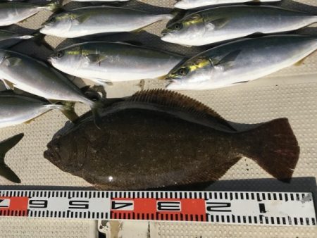 釣り船角田 釣果