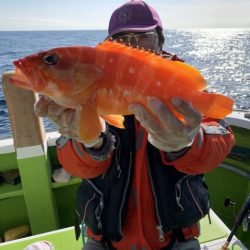 松栄丸 釣果