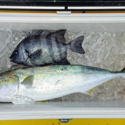 火遠理丸（ほおりまる） 釣果