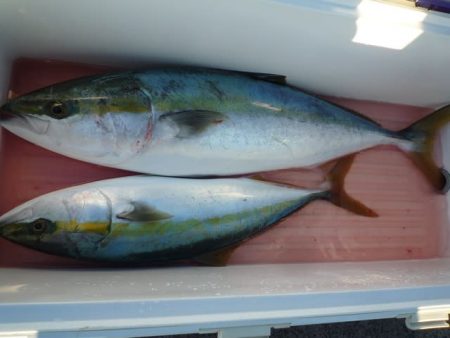 浅間丸 釣果