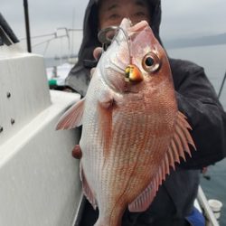 遊漁船　ニライカナイ 釣果