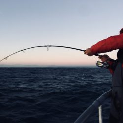 松鶴丸 釣果