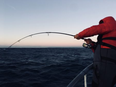 松鶴丸 釣果