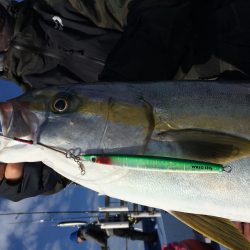 松鶴丸 釣果