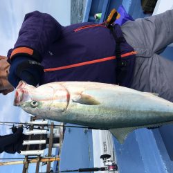 松鶴丸 釣果