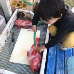 たいし丸 釣果