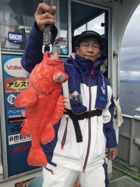 たいし丸 釣果