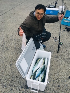 シーモンキー 釣果