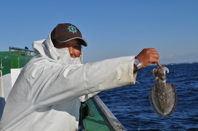 根岸丸 釣果