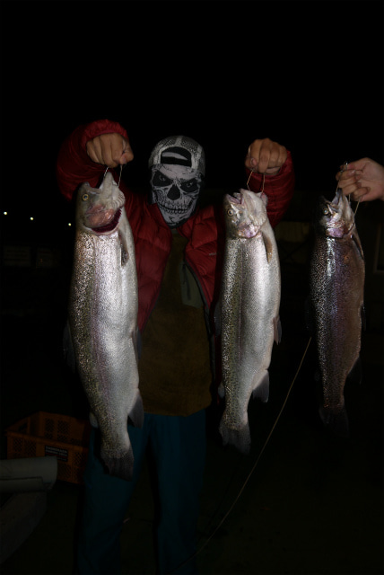 としまえんフィッシングエリア 釣果