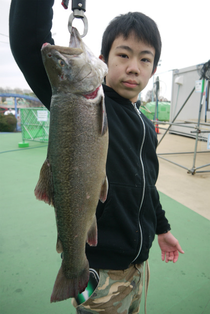 としまえんフィッシングエリア 釣果