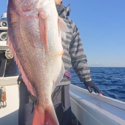 だて丸 釣果