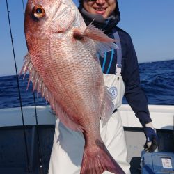 だて丸 釣果