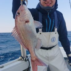 だて丸 釣果