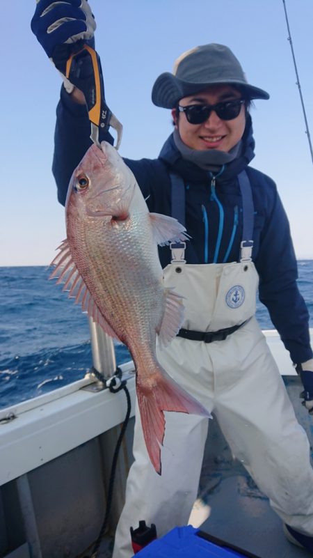 だて丸 釣果