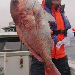 だて丸 釣果