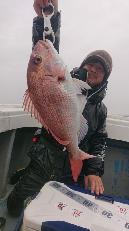 だて丸 釣果