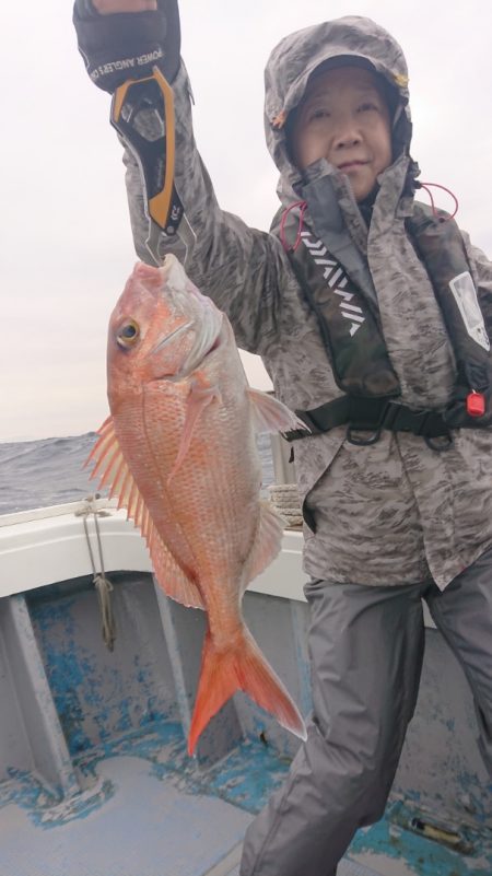 だて丸 釣果