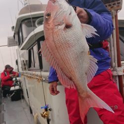 だて丸 釣果