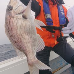 だて丸 釣果