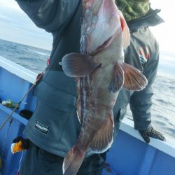 新幸丸 釣果