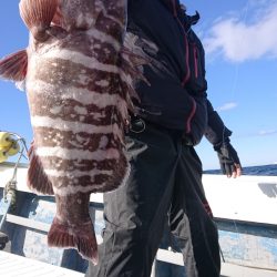 だて丸 釣果