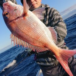 だて丸 釣果