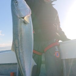 だて丸 釣果