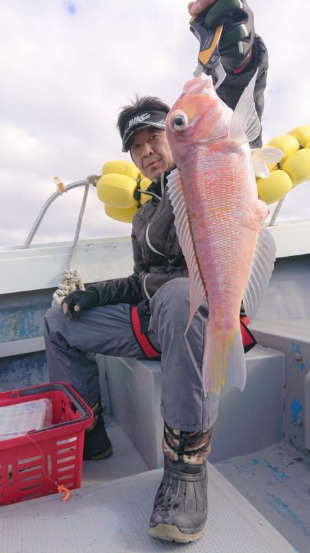 だて丸 釣果