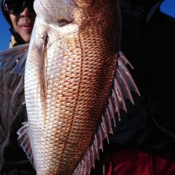 竹宝丸 釣果