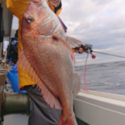 だて丸 釣果