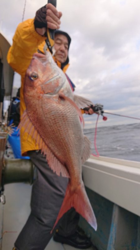 だて丸 釣果