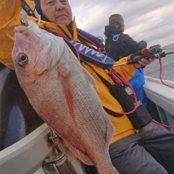 だて丸 釣果