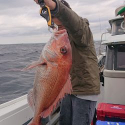 だて丸 釣果