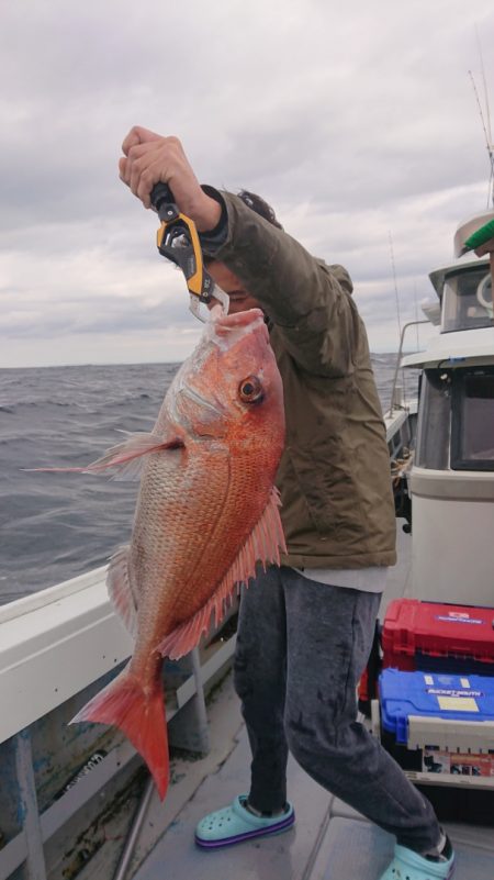 だて丸 釣果