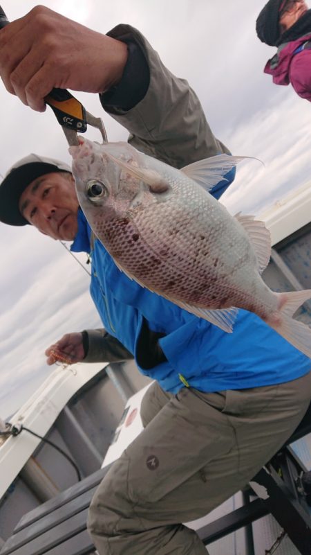 だて丸 釣果