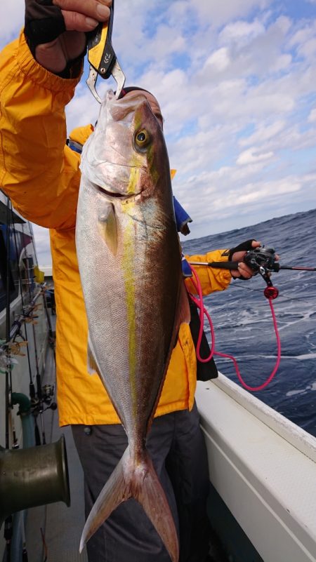 だて丸 釣果