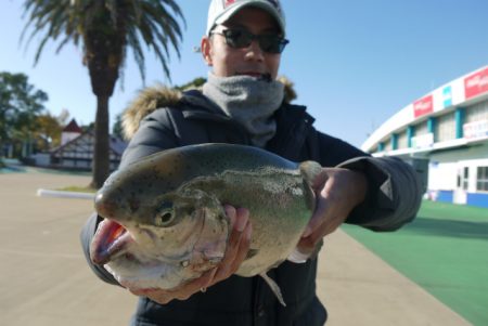 としまえんフィッシングエリア 釣果