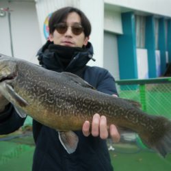 としまえんフィッシングエリア 釣果